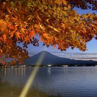 河口湖紅葉祭りと東京散歩1