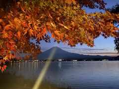 河口湖紅葉祭りと東京散歩1