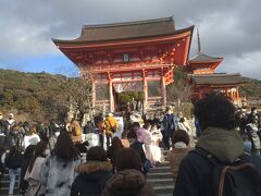 旅行体験記2023～京都～新年の旅行始め!京都の魅力再発見!