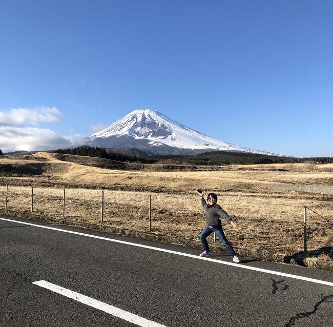 用事で車で横断した静岡と<br />友達ファミリーと伊豆滞在の旅行記2回分まとめて<br /><br />サイト上では二つの時期を載せるのか難しいので23年1月になっています<br /><br />のんびり静岡<br />特に何もないのがいい<br /><br />ご覧ください