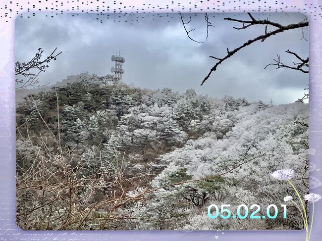 弟が会員になっているエキシブ有馬離宮に一泊で福岡に住んでいる弟夫婦、宝塚の弟家族、親戚が集まって義母の17回忌の食事会をしました。前日に私たちはお寺に行って17回忌の法要を済ませました。<br />翌日は六甲山に行って六甲ガーデンテラスからの景色を子供達が小さい頃(30年くらい前)に連れて来たかなと思うけど…。