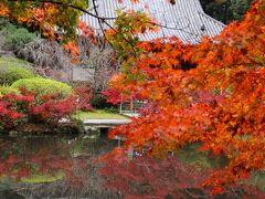 奈良の紅葉を求めて（等禰神社・長岳寺・なら歴史芸術文化村）