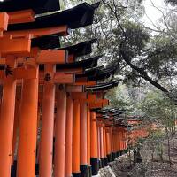 新春の京都めぐり　～二条城、平安神宮、伏見稲荷、南禅寺～