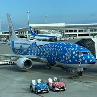 2023年　JGC修行第1弾　OKAタッチ8レグ2泊3日　後編