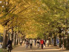 2022 素晴らしきかな昭和記念公園のイチョウ並木