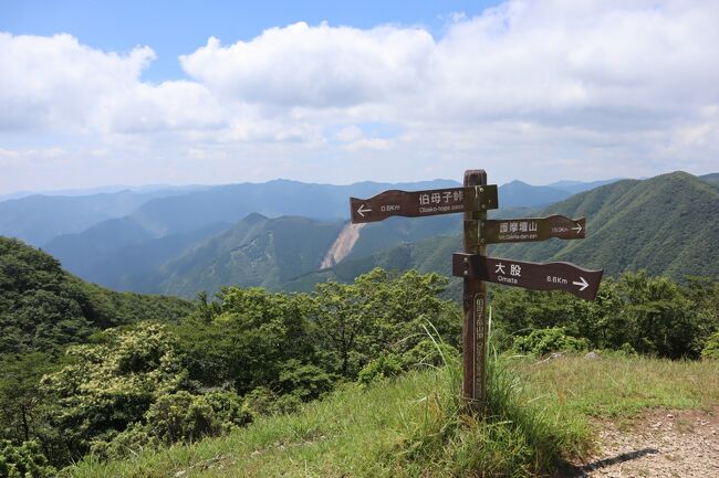 コロナ禍での密集を避けて熊野古道めぐり<br />真夏の過酷な熊野古道小辺路。