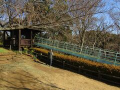 吾妻山公園（二宮町）