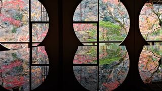 トロッコ列車と嵐山祐斎亭　京都遅めの紅葉で混雑回避１