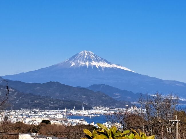 去年は「毎月京都！」やったけど、今年は何しよ？まだまだ海外はハードル高いから、今年も国内で遊びます。<br />過去に行ったことのない都道府県を数えたら、ちょうど１２。これ、ひと月にひと県行ったら、１年で全都道府県制覇できるやん！お金ないから、基本弾丸日帰り。日帰りできない処は１泊で。ボンビー一人旅です(^^;)<br /><br />では、１月はどこしよ？年の初めにふさわしい処…という事で、富士山見に行きます！まともに富士山見たことないもんね。世界遺産にもなったことやし。<br /><br />しかし、新幹線って高いね～(T_T)往復したらこれだけで２万円越える。安いゲストハウス見つけたけど、ここが１泊３５００円。あわせて２５０００円！<br />夜行バスって手も考えたけど、若いころならまだしも、腰が持たん！おまけに早朝到着しても、お店があくまで激寒の中どうするん？ネカフェで仮眠してたら、それだけで昼過ぎになりそう(^^;)<br />ちょっと旅行社のサイト見てみたら、新幹線とホテルのセットで２５１００円。値段的には変わらないけど、ゲストハウスがホテルになるし、お得なクーポンもいただけるから、実質こっちの方がお得。<br /><br />天気を見ながら、２日前に駆け込み予約。ギリギリやった…(^^;)<br /><br />『磯おろし戸隠そば』<br />https://happysenior.asia/2023/01/13/isooroshi_togakushisoba/<br /><br />「日本平に無料で行く方法」<br />https://happysenior.asia/2023/01/15/nihondaira_hotel_shuttle_bus/<br /><br />「日本平」<br />https://happysenior.asia/2023/01/16/nihon_daira/<br /><br />「久能山東照宮」<br />https://happysenior.asia/2023/01/17/kunouzan_toshogu/<br /><br />『静鉄ホテルプレジオ静岡駅南』<br />https://happysenior.asia/2023/01/14/shizutetsu_hotel_prezio_shizuokastation_south/<br /><br />『さわやか』<br />https://happysenior.asia/2023/01/18/sawayaka_cenova/<br /><br />『天神湯』<br />https://happysenior.asia/2023/01/19/tenjin_yu/<br /><br />『バリ勝男くん』<br />https://happysenior.asia/2023/01/24/bari_katuokun/<br /><br /><br />新幹線＆ホテル　　25,100円<br />磯おろし戸隠(ランチ）790円<br />ロープ―ウェイ　  　1,250円<br />久能山東照宮　　　　  500円<br />さわやか                 1,650円<br />銭湯    　　　　　　　 470円<br />朝食  　　　　　　　　540円<br />安倍川餅　　 　　　　 330円<br />レンタサイクル　　　  140円<br />水上バス　　　　　　  400円<br />カモメの餌　　　　　  100円<br />海ぼうず　　　　　　2,324円<br />ICOCAチャージ        1,000円<br />