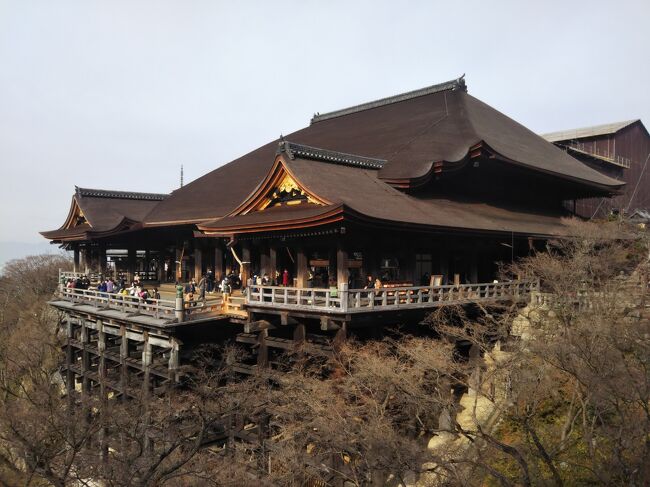 平日にお休みが取れたので、また御朱印を頂きに京都東山のお寺へお参りに行ってきました。<br /><br />お休みといっても、夕方から打ち合わせがあったのと、雨が降りそうだったのでそれまでに戻ろうと、通勤ラッシュを避けて朝からウロウロと行ってきました。<br />先日も3カ寺回ったし、朝からなら余裕やろうと思ってたのですが、あちこち寄り道したり、道を間違えたりしながらドタバタと行ってきました。<br /><br />もう正月気分ではないですが、コロナどこ行った？！っと思うくらい、色んな国の外国人観光客でいっぱいでした(;´∀｀)