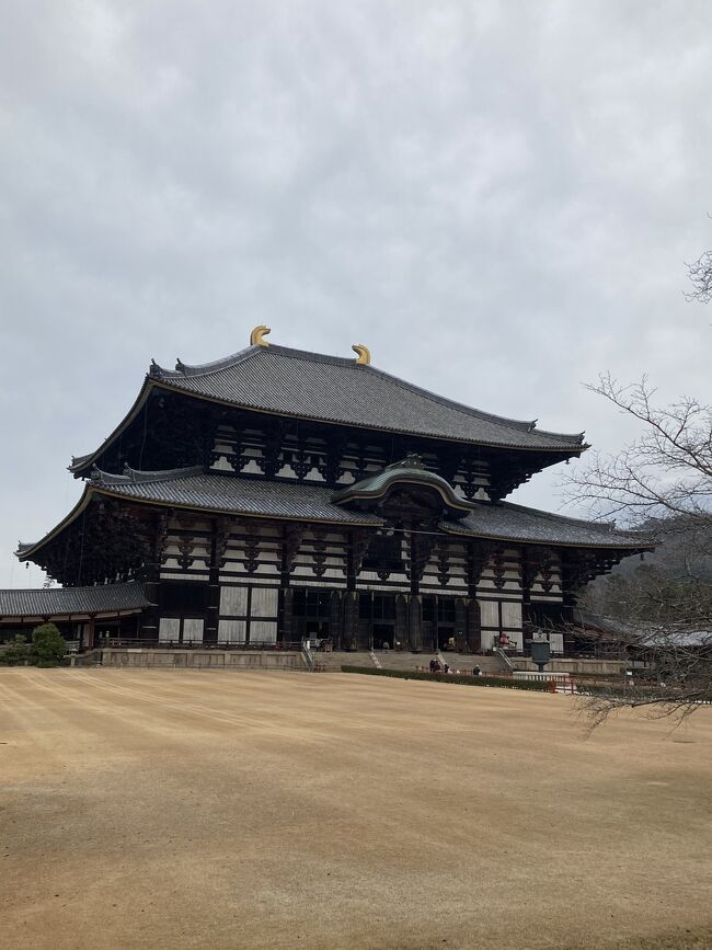 近鉄ひのとり、あをによしの2つの観光列車に乗って奈良観光に行きました。天気は良くなかったですが　ゆったり目のスケジュールで　じっくりと観光出来ました。