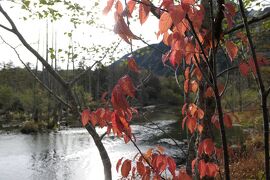 秋の上高地旅♪　Vol.49 ☆上高地ハイキング：河童橋から明神池へ美しい風景♪