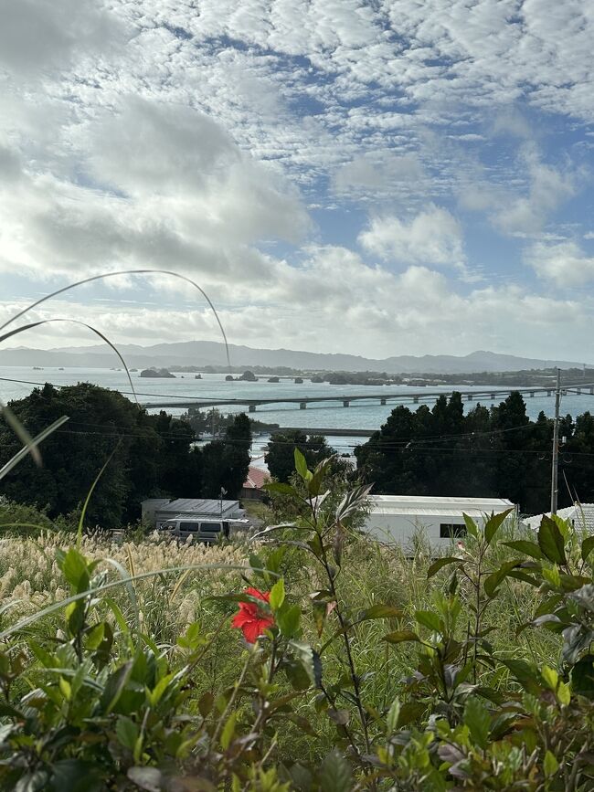 家族3人揃っての旅行は2年ぶりです。<br />3日間の過密日程ですが、古宇利島、美ら海水族館を巡ります。