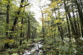 秋の上高地旅♪　Vol.53 ☆上高地ハイキング：河童橋から明神池へ美しい風景♪