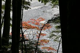 秋の上高地旅♪　Vol.56 ☆上高地ハイキング：河童橋から明神池へ美しい風景♪