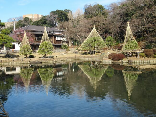 三ノ輪駅と早稲田駅を結ぶ、東京で唯一走っている都電に乗って、雑司ヶ谷と早稲田の間を散策してきました。早稲田周辺には緑豊かな公園や歴史ある寺社が点在し、散策するのに面白いエリアです。春には神田川沿いの桜並木が一斉に花をつけ、春の到来を感じさせてくれます。今回は訪れませんでしたが、早稲田大学キャンパスには無料で見学できる博物館が5館あります。暖かな日差しの中、1日400円の乗車券を購入しのんびり散歩を楽しみました。