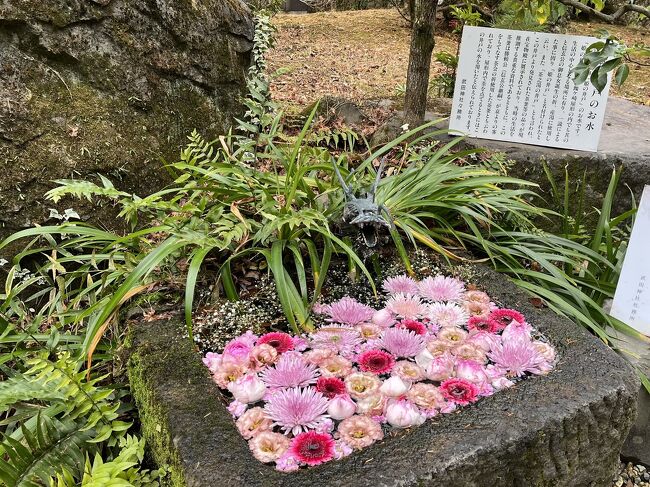 毎年の山梨旅。<br />今年は、桃や葡萄の季節に行かれなかったのですが、<br />年内に行っておかないと、<br />なんか気持ちが落ち着かない。<br />と言う訳で、仕事の帰りに特急に乗り込みました。<br /><br />武田神社へは、初めての参拝でしたが、<br />ボケていて拝殿の写真を撮り忘れていました。<br />強力な勝運のパワースポット！<br />また行かなきゃね。<br /><br />ほうとうの旅なのか、3食いただきました。<br />寒い日は、ほうとうはあったまる?<br /><br />まだまだコロナが心配。<br />長居しない旅が続きます。