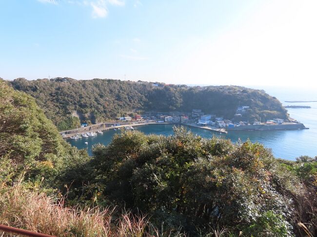 2021年12月20日(月)朝8時50分頃、月と砂漠ライン駐車場を出発。一周道路へ戻り、南に向かう。20分ほど走ると、大島を時計に例えると4時の方向の海岸沿いに筆島がある。見晴台があり、駐車場も整備されている。海にポツンと火山が海に削られ残った奇岩で、その姿が筆の穂先に似ていることから筆島と呼ばれている。荒波に耐える姿から別名「神の宿る岩」とも云われる。海中から高さ約30m程あり、後ろの断崖絶壁と併せてダイナミックな景観となっている。筆が空に向かって立っているように見えることから、書き初めのような気分で何か新しいことを始める時に訪れると良いとも云われる。この岩は火道で固まった岩だと考えられている。伊豆大島誕生以前、この辺りには岡田港辺りの岡田火山と都立大島公園近くの行者の窟火山と筆島火山という3つの火山があった。筆島火山はもっとも古く、240万年前から数十万年前に活動していたと考えられている。その固まった岩が長い年月を掛けて太平洋の荒波に削られ、このような不思議な形になった。https://www.facebook.com/media/set/?set=a.8838526386217307&type=1&l=223fe1adec筆島に入る手前から大島町の元となった6村のひとつの旧波浮港村に入っている。1800年の波浮港開港と同時に差木地村から独立した村で、大島の4時から5時方向の太平洋に面する海岸線に沿った小さな部分。筆島から一周道路をさらに南に進み、大島町を構成する旧波浮港村の中を抜けて行く。この辺りには陸上競技場や野球場が整備されている。10分足らず走ると波浮港見晴台に着く。崖の下に波浮港が見えるが、この入江は元々は平安時代の838年のマグマ水蒸気爆発で出来た噴火口で、雨水が溜まり池となり波浮の池と呼ばれていた。波浮の名前の由来は分からなかったが、急な傾斜地で崖などが崩れて粘土や赤土が現れたところを「はぶ」と云い、波浮の他、土生や埴生、波布、羽生、八生などの漢字が当てられるそうで、ここもその条件にあってそう。その後、江戸中期の1703年の元禄大地震・津波により、決壊して海と繋がる。そして、1800年になって、殖産興業家の秋廣平六によって港として整備され開港、松前船の風待ちの港として賑わった。その秋廣平六翁之像がこの見晴台に建てられている。波浮港には明治から昭和にかけて多彩な文人、墨客、貴人が訪れ貴重な作品を残しているそうで、その中の一人の与謝野鉄幹は、1933年(昭和8年)の4月に妻の妻の晶子と娘、友人の4人で大島を訪れ、波浮港の松友館に宿泊した。鉄幹60歳、亡くなる2年前だった。この見晴台に歌碑が建つ。「山めぐり波浮の入江の青めるに 影しぬ船と片側の町」。1950年代後半には皇族の方も来られたそうで、見晴台の一角には皇族方御来島波浮港御展望の碑が建つ。それに拠ると1956年に秩父高松両妃殿下、1959年に皇太子殿下(現上皇)、1960年に天皇皇后両陛下(昭和天皇・皇后)が来られたそうだ。また、1964年にリリースされた都はるみの「アンコ椿は恋の花」の歌碑も。作詞は「男はつらいよ(渥美清)」や「函館の女(北島三郎)」、「昔の名前で出ています(小林旭)」、「三百六十五歩のマーチ(水前寺清子)」なども書いた星野哲郎。島の娘(アンコ)が北の都へ行ってしまった恋人を思ってすすり泣く惜別の歌だが、当時も波浮港には東京便は停泊してなかったので、あくまでも波浮港をイメージした歌詞。郵便は通常は東京から1晩で着くので、時化か何かで3日遅れたのだろうか?https://www.facebook.com/media/set/?set=a.8838539106216035&type=1&l=223fe1adec見晴台から南に進み、港に降りて行くが続く