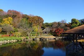 馬場花木園散歩　１２月の花（１２種）　２０２２年