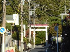 鎌倉駅北東部を歩きました