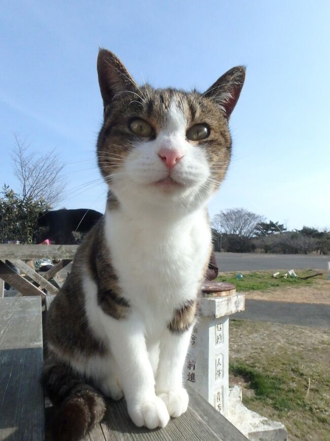 そこは本気のモフまみれ♪