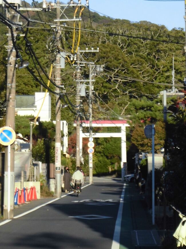鎌倉駅の北東の山奥に近いところを歩きました。