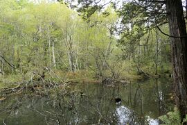 秋の上高地旅♪　Vol.78 ☆上高地ハイキング：明神池から徳沢へ♪