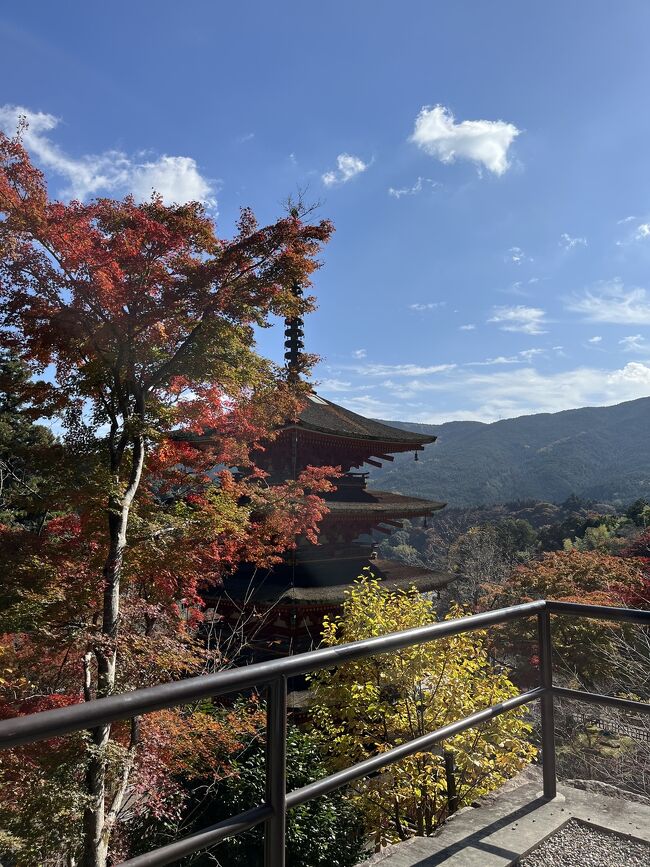 岡山県の日生へ、ご当地グルメのカキオコを食べに行きました。<br /><br />そのあと、奈良へ移動して駅の近くで一泊。<br /><br />翌日は東大寺を参拝し、奈良公園やならまちで遊んだら、次のお宿がある大和八木駅へ向かいます。