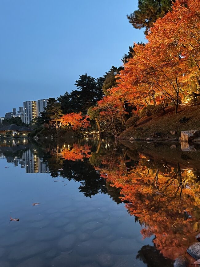 帰阪しなければならないのに、ギリギリまで紅葉巡りを詰め込みました。