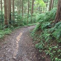 逆打ちお遍路ラン #3　JR伊予三島駅→64番神前寺→54番延命寺→JR菊間駅