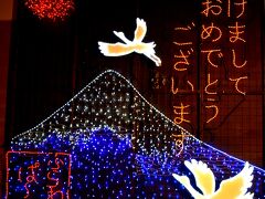 冬旅で栃木の温泉と足利フラワーパーク