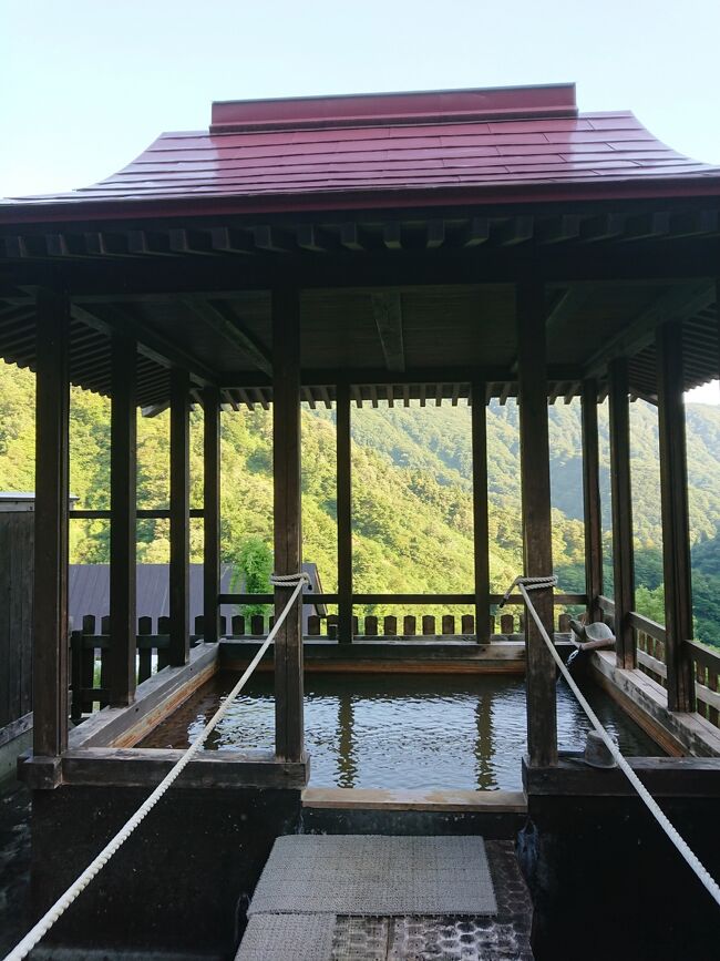 金沢からレンタカーで高速一般道を走って信州温泉&絶景ドライブへ。コロナ禍仕事にあぶれ、金はなけれど時間はたっぷりゆっくり走って<br /><br />まずは長野県北の端にある最高源泉の湯老・舗山田旅館へ。<br />江戸時代の建物を今も活用し旅籠気分も味わえる登録有形文化財が6棟もある素敵な旅館。<br />明治の建物にある内湯が何と言っても最高、岩の隙間から湧き出ている温泉がすぐにあふれ出している。最近リニューアルされたとか。<br />展望露天風呂もコロナのお陰でずっと貸し切り。緑深い妙高戸隠連山・雨飾山に連なる山々を眺めながら、虫の鳴き声を聞きながら、流れる雲を眺めながら、静かに温泉を楽しませてくれました。<br /><br />国道をゆっくり田園風景を楽しみ青空を眺めゆっくりとドライブして上高地へ。<br />昔バイトしていた上高地温泉ホテルも清水屋さんも梓川のプロムナードはみんなすっかりおしゃれにモダンにきれいに新しくなって豪華なリゾートに様変わり。明神池や昔泊まった時に先代にたっぷりのマツタケをご馳走になった嘉門次小屋まで散策。<br />雨が激しくなってきたので五千尺ロッジでわかい頃よく登っていた涸沢・奥穂を眺めて一休み。贅沢になったものです。<br /><br />中の湯温泉はすっかり場所が変わりちょっと不思議な感じ。<br />釜トンネル入り口付近にあったのに、安房峠を抜ける平湯街道156号線工事で大移転。<br />平湯方面に上ってすぐの細い道を大きくぐるっとカーブして急な坂道を登ってやっと到着。<br />雨が落ちる静寂の朝の上高地を楽しませてくれました。<br />お宿の御主人はお花好き!<br />月下美人の開花を見ることができました。<br /><br />坂巻温泉では素朴な御主人のおもてなしを受け、<br />内湯の温泉ではもったいないほど滾々と溢れ出る源泉を堪能させていただきました。<br /><br />岐阜白川郷の藤助の湯ふじや。高級旅館の佇まい。<br />日本三名山のひとつ霊峰白山の麓を源泉にしている硫黄質の温泉。15㎞離れた温泉を井戸水で間接冷却し、 50度前後で温泉タンクに貯えて各浴槽に供給し 加水・加温・循環等一切行っていない源泉掛け流しを楽しみました。<br /><br />最後に訪れたのは 中宮温泉にしやま旅館<br />霊峰より湧きいずる白山の秘湯で別名鳩の湯ともいわれ、胃腸の湯 美肌の湯とも<br />開湯は古くはるか千三百余年前の奈良時代の末。谷川で傷ついた鳩が羽を癒しているのを泰澄大師が見つけ、川底から湯が湧いているのを発見?し、その後、里びとや武士たちから白山麓の湯治場胃腸に特効ある霊泉として知られ遠方からも癒しを求める湯治客が訪れた名湯です。確かにいいお湯だなぁ~と感じました。<br />雪深いこの辺りは11月までの営業で、コロナ禍の影響かお隣のお宿は閉業しておられました。<br /><br />帰りは白山神社にお参りしました。<br />金沢駅でレンタカーを返却後<br />おでん・黒百合が行列でき過ぎていたので、<br />金沢まいもん寿司で加賀百万石握りをいただき<br />板前さんにお聞きしたお土産物屋さん巡り<br />金沢駅は何でもそろうので とっても良い<br />あんと・りんと・あんと西、、、、有り過ぎて・・・<br />基本あんとの森八<br />あとは時間のある限りうろうろ、で買い過ぎました。<br />