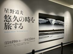 アラスカの自然、人、暮らし･･･。初めての "東京都写真美術館（TOP MUSEUM)" で、写真展 "星野道夫 悠久の時を旅する" 鑑賞！