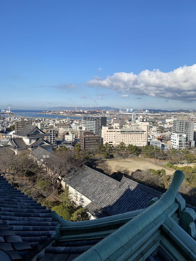 Vリーグ(バレーボール)観戦で和歌山に来ました。<br />特急くろしおがアドベンチャーワールドとのコラボ電車でテンションが上がりました。<br />1泊して和歌山城へ行きました。