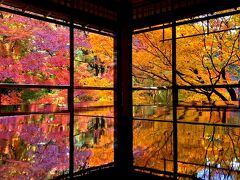 ..★... 紅葉 京都 ...★..