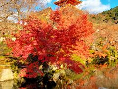 終わる秋を追いかけて・・紅燃ゆる古都へ＊～醍醐寺と東山界隈～＊