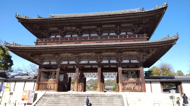 「いなまら。キャンペーン」を利用した奈良旅行。<br />東京に戻る最終日は1日京都観光して帰途に就きました。<br /><br />京都にもこれまで何度かいっていますが何故か訪ねたことのなかった仁和寺に行こうと計画。あとは奥さんと私で1つずつピックアップ。いずれも行ったことがありますが奥さんは八坂神社、私は千体の千手観音をゆっくり見たいと思い三十三間堂、以上３つの寺社の観光です。