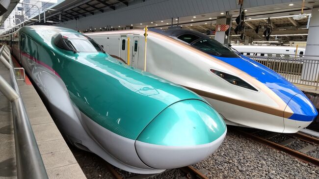 成田から東京経由して八戸へ。<br />八戸に1泊です。<br /><br /><br />4泊5日旅行代金合計 31382円<br /><br />交通費小計 15270円<br />大人の休日倶楽部パス 15270円<br /><br />宿泊費小計 15520円<br />1泊目 成田温泉空の湯 素泊 5000円ー1000全国旅行支援=4000円 4000地域クーポン付<br />2泊目 スーパーホテル八戸天然温泉 三社の湯 2食 8700円ー2500クーポンー1240全国旅行支援=4960円<br />2000地域クーポン、2000八戸クーポン付<br />3泊目 木もれ日の宿 ゆのか 2食 18700円ー5000クーポンー3500クーポンー2040全国旅行支援ー4800ポイント=3360円<br />2000地域クーポン付<br />4泊目 ホテルニュー埼玉 素泊 6000円ー2000クーポンー800全国旅行支援=3200円<br />2000円地域クーポン付<br /><br />飲食費小計 442円<br /><br />その他小計 150円<br />入湯税 150円