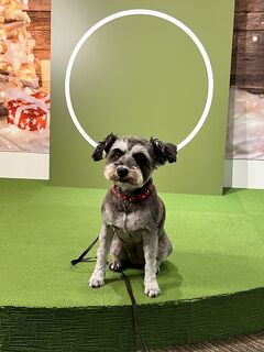 親孝行・犬孝行の旅～金沢編～