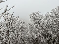 霧氷を見に雲仙岳へ　（仁田峠まで登山、ロープウェイで妙見岳へ）