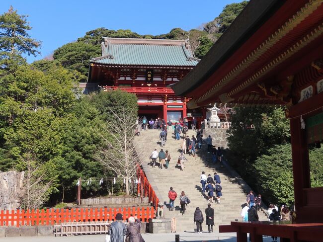 「オトナ旅」の条件は三つ。「早朝や深夜に動き回らない」「暴飲暴食をしない」「必要以上にお土産を買わない」。つまり、「オトこ」も「オんナ」も、体力と財力に見合った節度ある行動をする「クールな旅」なんです。<br />こんなコンセプトで始めた「『大人の休日』オトナ旅」、１１回目となる今回の行き先は、鎌倉。NHK「鎌倉殿の十三人」の舞台となった歴史ある街を、のんびり散策してみました。