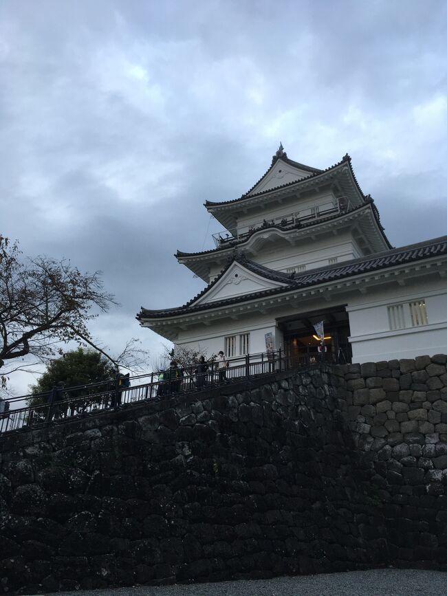 小田原まで新幹線で日帰り旅。