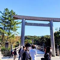 名古屋城、伊勢神宮、大阪城を巡る旅 (2)　観光特急しまかぜに行きも帰りも乗ってみた