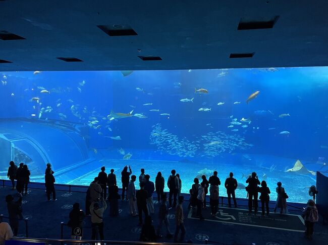 何度も行ってる沖縄旅です。<br />無計画で、全国旅行支援を使っての旅!