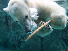 January 2023 北海道・トマム＆旭川旅行記@3～4日目 ～OMO7旭川宿泊＆旭山動物園編～