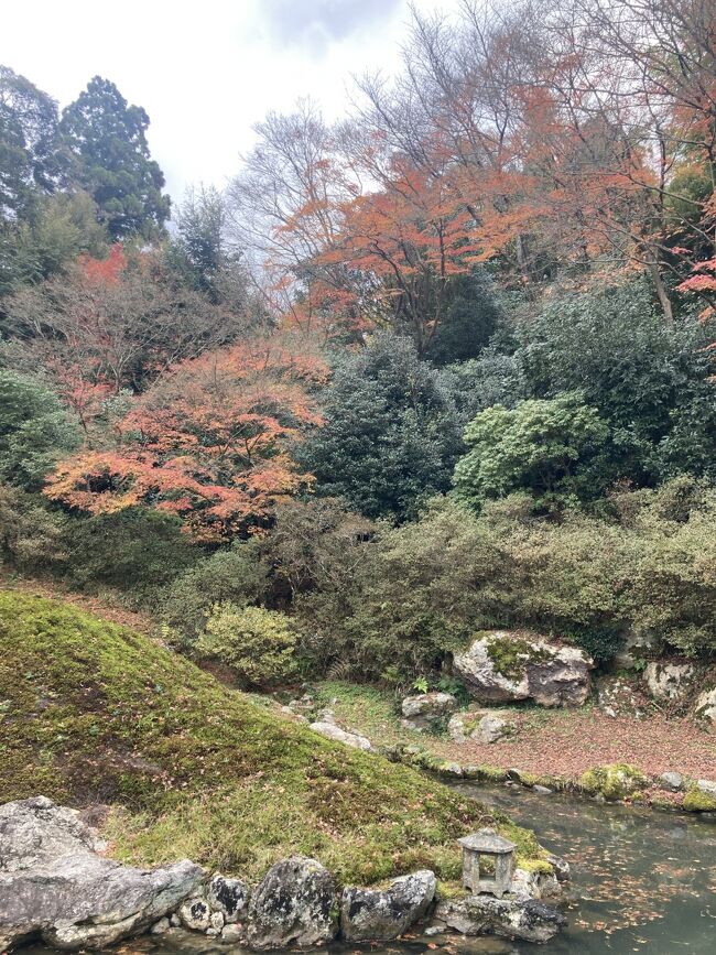 12月に毎年恒例の<br />お守りを納めに京都に行ってきました&#12316;<br /><br /><br />もう紅葉は終わってましたが<br />天気も良く観光日和でした&#12316;<br /><br />でも宿泊は<br />大阪です。<br /><br />楽天のパックで<br />一番安いのを狙いました。<br /><br />一月半前ですが、全国旅行支援に負けて<br />この期間に旅を重ね<br />価格、フライトの日程などうる覚え。。。<br />ご勘弁を！