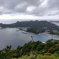 初めての小笠原諸島9泊12日の旅(2)4日目(父島3日目)編 