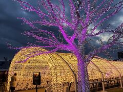  東京メガイルミ・大井競馬場イルミネーション