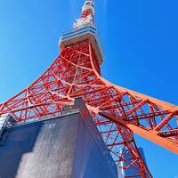 冬休み子連れ東京・ディズニーリゾート③