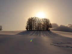 厳寒の丘を彷徨う～冬の絶景を求めて（美瑛）